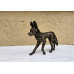 African Wild Dog (Painted Wolf) - Bronze