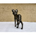 African Wild Dog (Painted Wolf) - Bronze