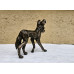 African Wild Dog (Painted Wolf) - Bronze