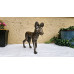 African Wild Dog (Painted Wolf) - Bronze