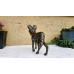 African Wild Dog (Painted Wolf) - Bronze