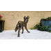 African Wild Dog (Painted Wolf) - Bronze